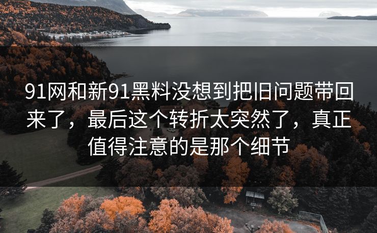 91网和新91黑料没想到把旧问题带回来了，最后这个转折太突然了，真正值得注意的是那个细节  第1张