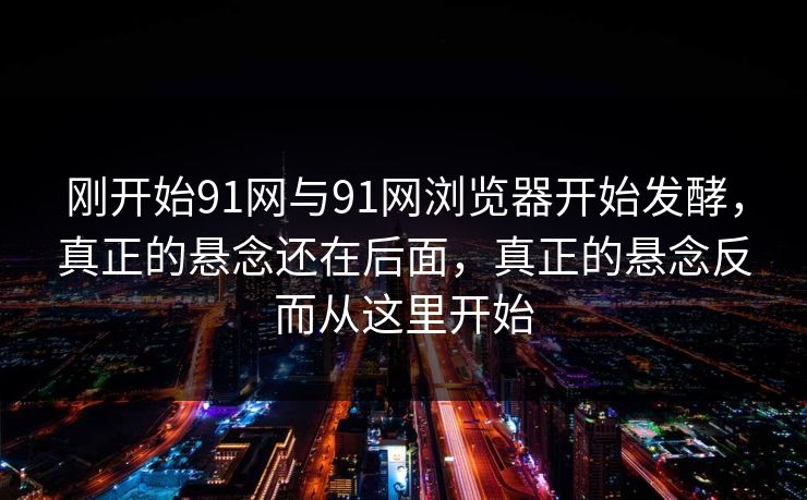 刚开始91网与91网浏览器开始发酵，真正的悬念还在后面，真正的悬念反而从这里开始  第1张