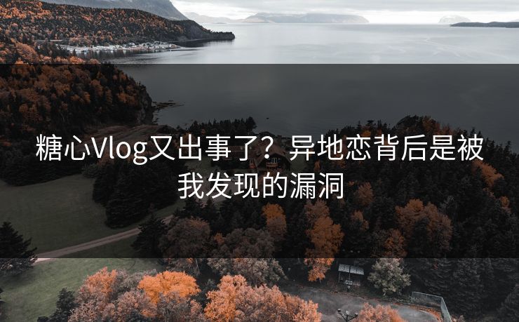 糖心Vlog又出事了？异地恋背后是被我发现的漏洞  第1张