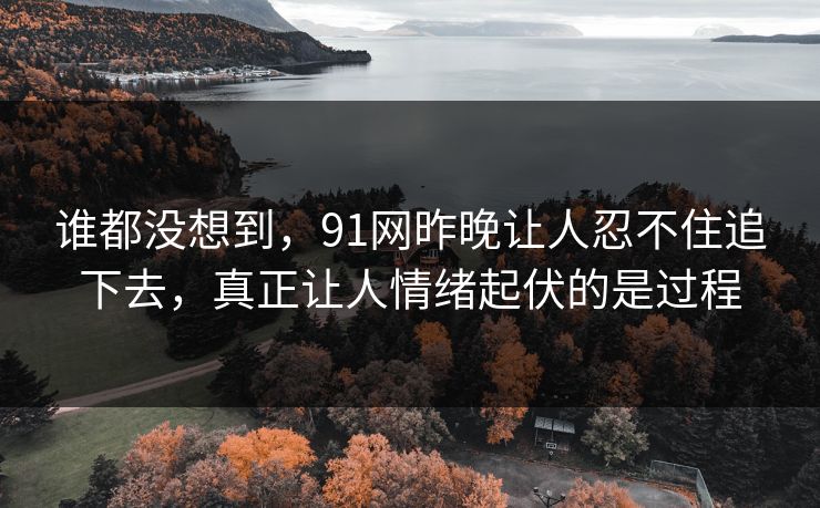 谁都没想到，91网昨晚让人忍不住追下去，真正让人情绪起伏的是过程  第1张
