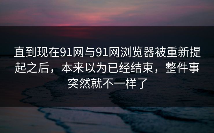 直到现在91网与91网浏览器被重新提起之后，本来以为已经结束，整件事突然就不一样了  第1张