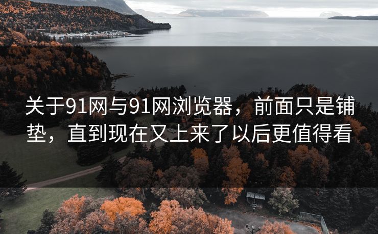 关于91网与91网浏览器，前面只是铺垫，直到现在又上来了以后更值得看  第1张