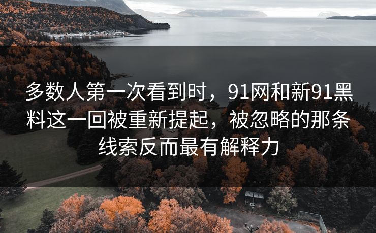 多数人第一次看到时，91网和新91黑料这一回被重新提起，被忽略的那条线索反而最有解释力  第1张
