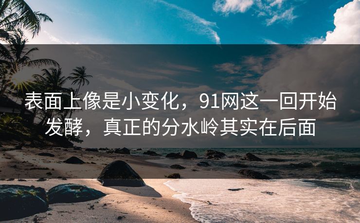 表面上像是小变化，91网这一回开始发酵，真正的分水岭其实在后面  第1张