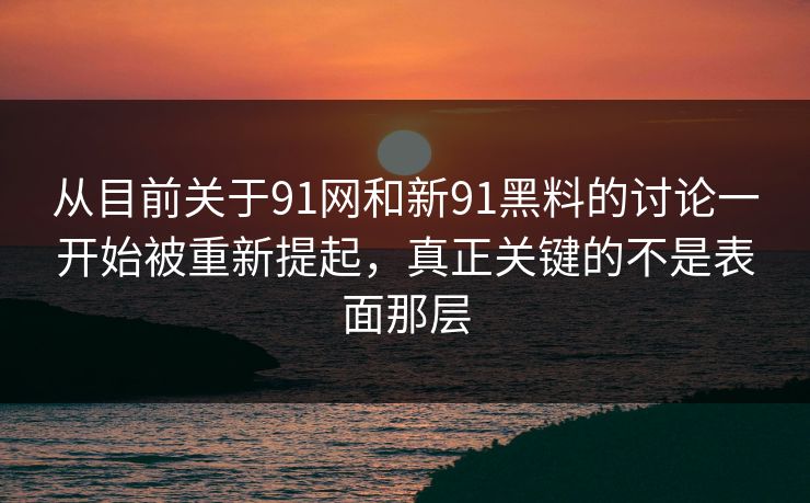 从目前关于91网和新91黑料的讨论一开始被重新提起，真正关键的不是表面那层  第1张